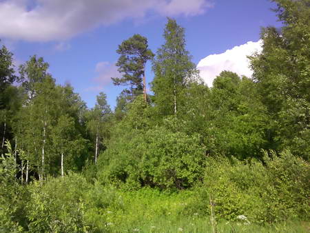 450x338  54 KB. Big one: 2560x1920  2753 KB