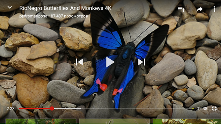 450x253  228 KB. Big one: 1500x843  1593 KB