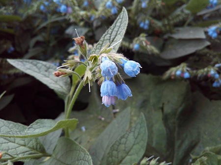 450x337  46 KB. Big one: 4608x3456  3579 KB