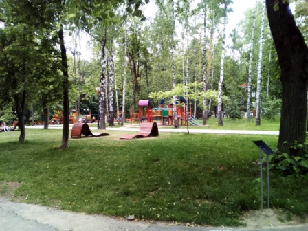 448x336  94 KB. Big one: 4224x3168  5951 KB