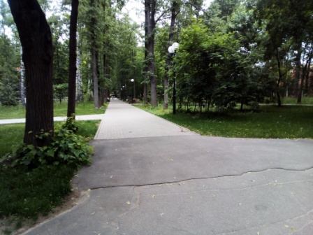 448x336  75 KB. Big one: 4224x3168  4834 KB