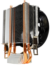 175x235  77 KB. Big one: 604x800  809 KB