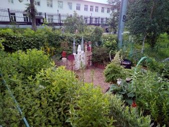 337x253 43 KB. Big one: 4608x3456 3226 KB 337x253 43 KB. Big one: 4608x3456 3226 KB