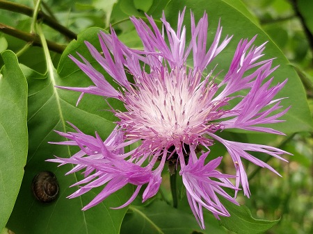 450x337  73 KB. Big one: 4608x3456  4052 KB