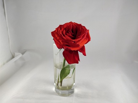 450x337  25 KB. Big one: 4608x3456  3994 KB