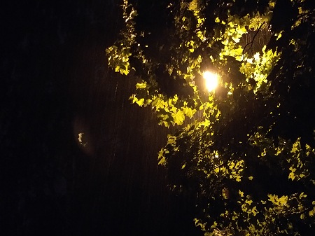 450x337  56 KB. Big one: 4608x3456  3363 KB