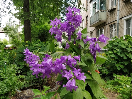 450x337 101 KB. Big one: 4608x3456 6551 KB 450x337 101 KB. Big one: 4608x3456 6551 KB