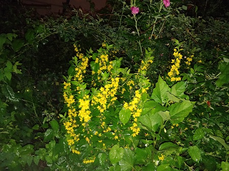 450x337 95 KB. Big one: 4608x3456 5968 KB 450x337 95 KB. Big one: 4608x3456 5968 KB