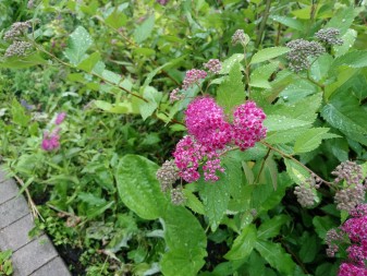 337x253  308 KB. Big one: 5520x4144  7872 KB