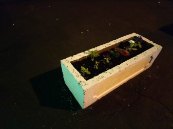 337x253  278 KB. Big one: 5520x4144  3903 KB