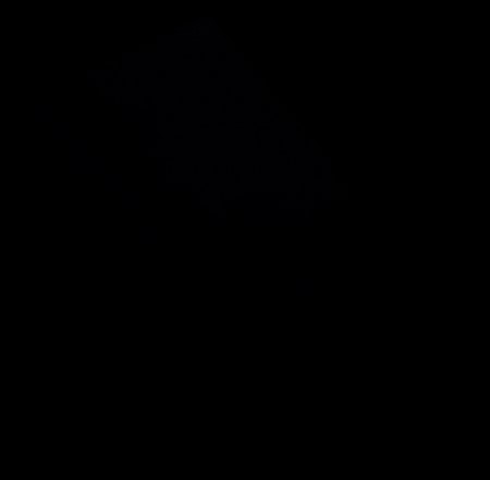 450x441  5 KB. Big one: 1000x980  35 KB