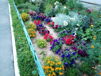 337x253 114 KB. Big one: 4160x3120 4104 KB 337x253 114 KB. Big one: 4160x3120 4104 KB