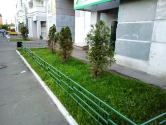 337x253 95 KB. Big one: 4160x3120 2935 KB 337x253 95 KB. Big one: 4160x3120 2935 KB