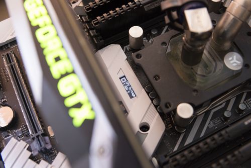 500x334  39 KB. Big one: 2500x1668  530 KB