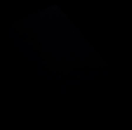 450x441  4 KB. Big one: 800x784  24 KB