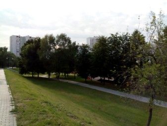 337x253  30 KB. Big one: 4160x3120  3591 KB