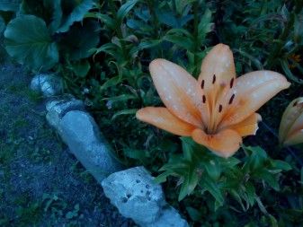 337x253  36 KB. Big one: 4160x3120  4452 KB