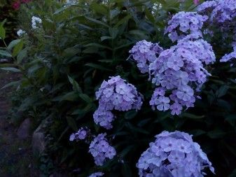 337x253  37 KB. Big one: 4160x3120  3688 KB