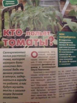 253x337  37 KB. Big one: 3120x4160  1484 KB