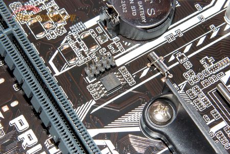 450x301 54 KB. Big one: 1500x1004 385 KB