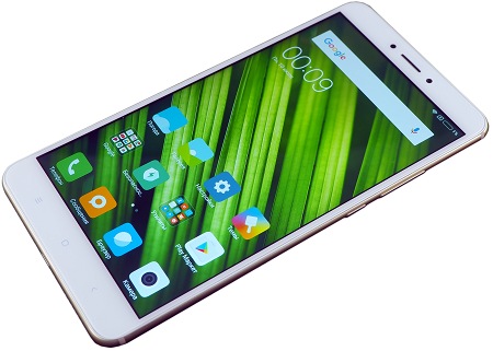 450x321  45 KB. Big one: 1500x1071  293 KB