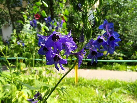 450x337  80 KB. Big one: 4000x3000  4151 KB