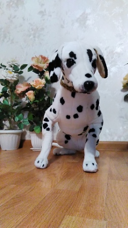 252x448  60 KB. Big one: 1080x1920  871 KB