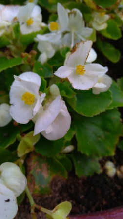 252x448  50 KB. Big one: 2160x3840  2299 KB