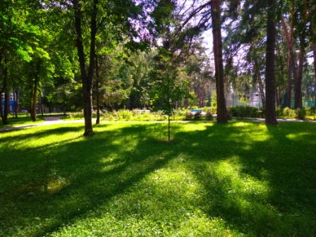 448x336  114 KB. Big one: 4160x3120  8428 KB