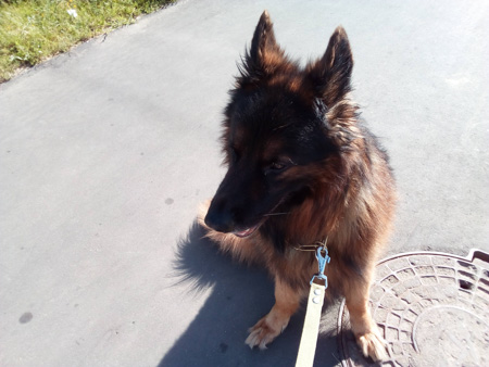 450x338  57 KB. Big one: 3264x2448  2629 KB