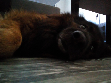 450x338  44 KB. Big one: 2560x1920  899 KB