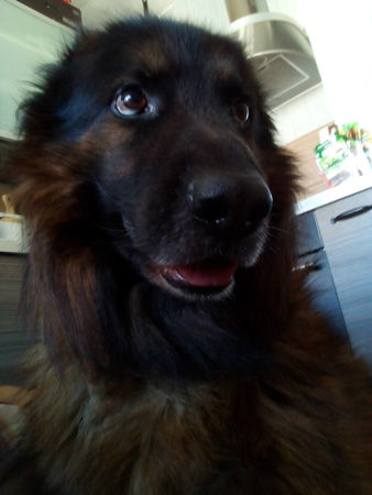 338x450  46 KB. Big one: 1920x2560  1063 KB