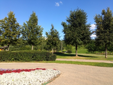 447x336  89 KB. Big one: 5280x3968  10472 KB