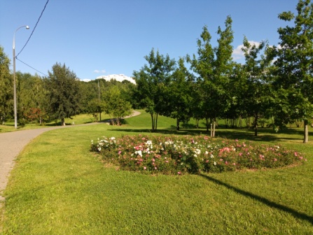 447x336  89 KB. Big one: 5280x3968  10771 KB