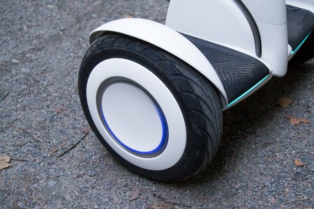 450x300  50 KB. Big one: 1500x1000  1251 KB