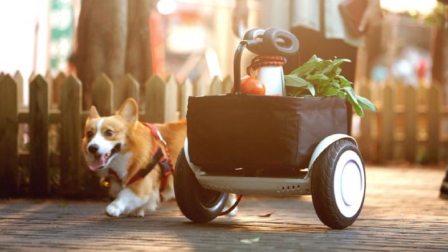 448x252  22 KB. Big one: 1000x563  97 KB