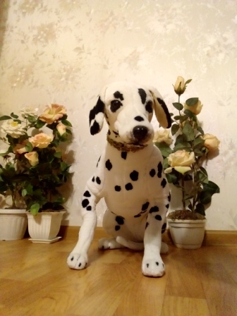 336x448  68 KB. Big one: 1920x2560  1995 KB