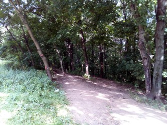 333x250  109 KB. Big one: 3264x2448  4557 KB