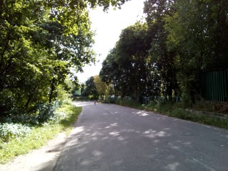 333x250  101 KB. Big one: 3264x2448  3418 KB