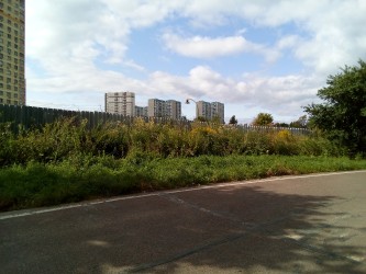 333x250  90 KB. Big one: 3264x2448  3507 KB