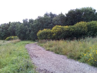 333x250  96 KB. Big one: 3264x2448  4457 KB