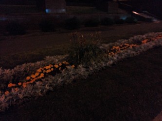 333x250  81 KB. Big one: 3264x2448  1656 KB