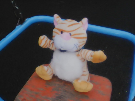 440x330  42 KB. Big one: 640x480  81 KB