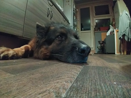 450x338  48 KB. Big one: 2560x1920  1322 KB