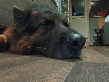 450x338  49 KB. Big one: 2560x1920  955 KB