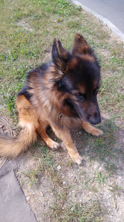 253x450  49 KB. Big one: 2988x5312  9640 KB