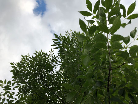 450x338 51 KB. Big one: 4032x3024 3349 KB 450x338 51 KB. Big one: 4032x3024 3349 KB