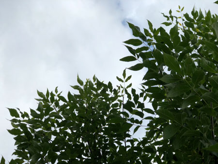 450x338 48 KB. Big one: 4032x3024 3014 KB 450x338 48 KB. Big one: 4032x3024 3014 KB