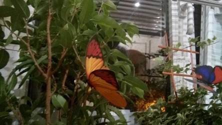 444x250  184 KB. Big one: 3072x1728  1383 KB