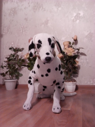 336x448  51 KB. Big one: 1920x2560  1403 KB